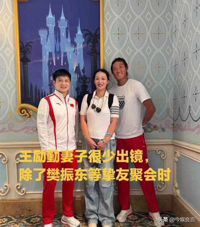 樊振东个人资料(樊振东个人资料简历简介图片)